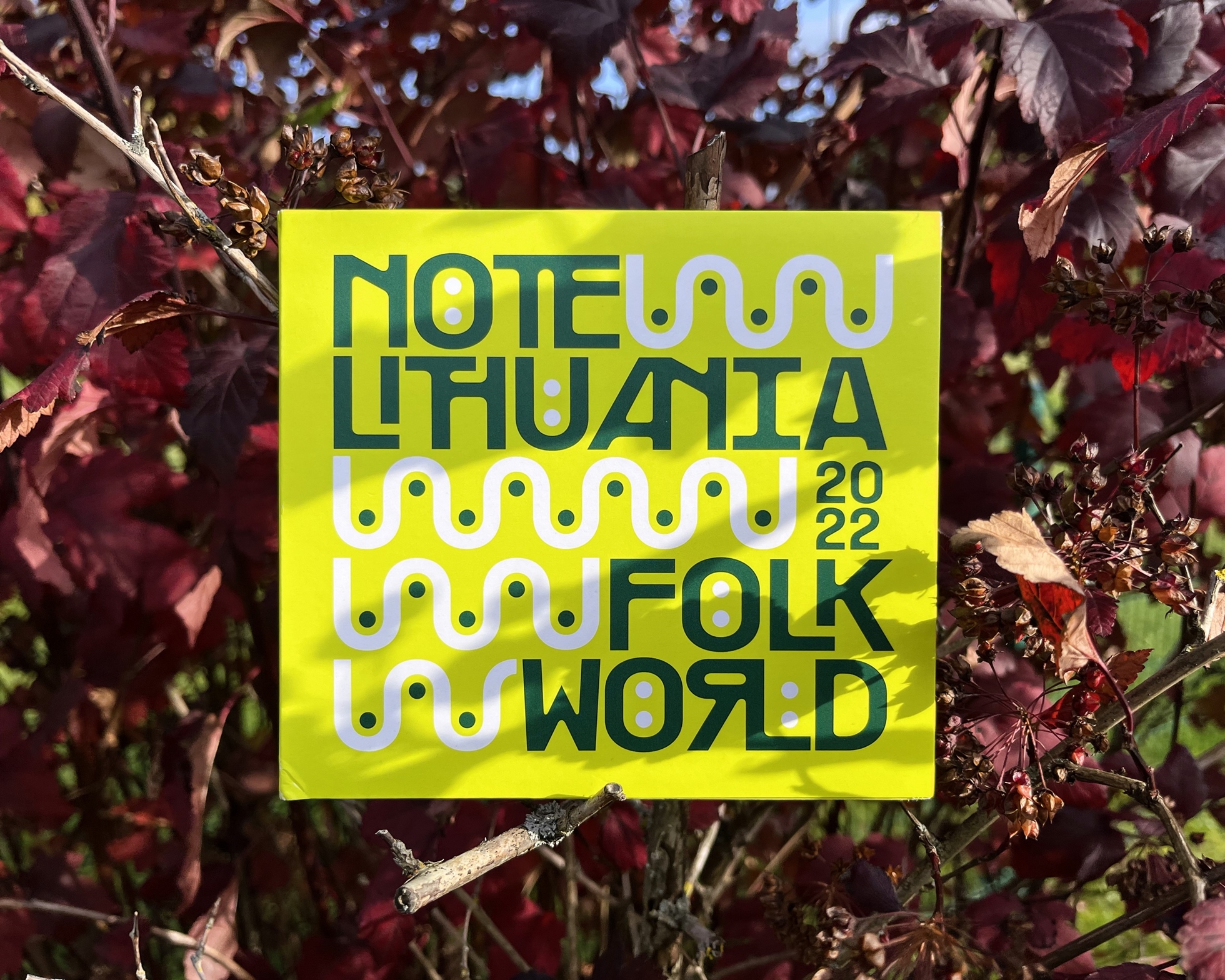 Note Lithuania Folk World 2022 albumas_LMIC nuotrauka_3.jpg