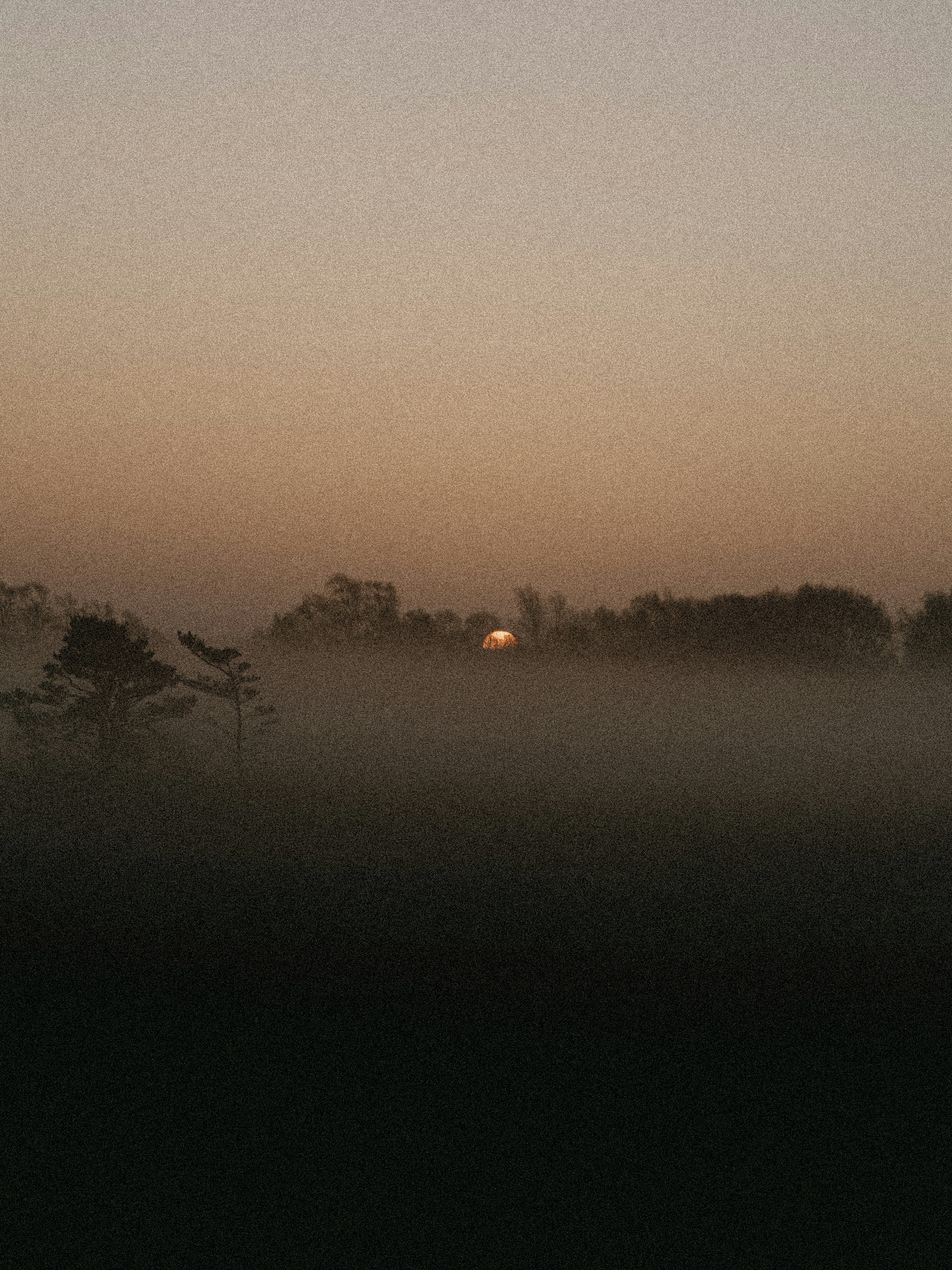 Annie Spratt nuotraukos ir Povilo Vaitkevičiaus manipuliacija Annie-Spratt_Unsplash-foto-+-,mano-pridėtas-filtras-noise.jpg
