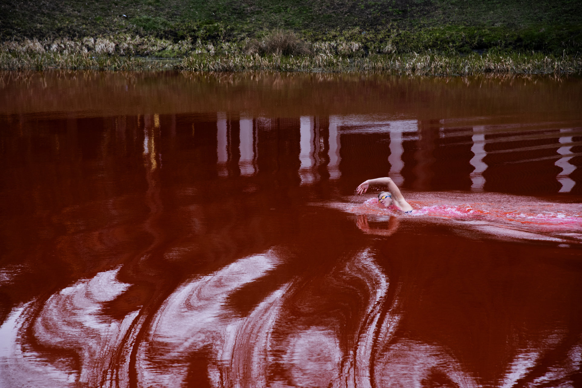 Meninis performansas Swimming Through su Ruta Meilutyte - organizatoriu nuotr.jpg