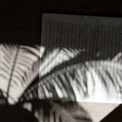Nr.6 0C9E1650.jpg