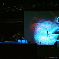 Sziget07-05sm.jpg