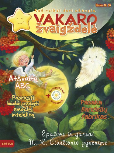 vakaro_zvaigzdele_2.jpg