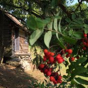 Studija Melynasis Laumzirgis_photo ZM.jpg