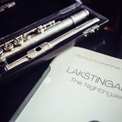 LakstingalaMKCĀ©Terekas-39.jpg