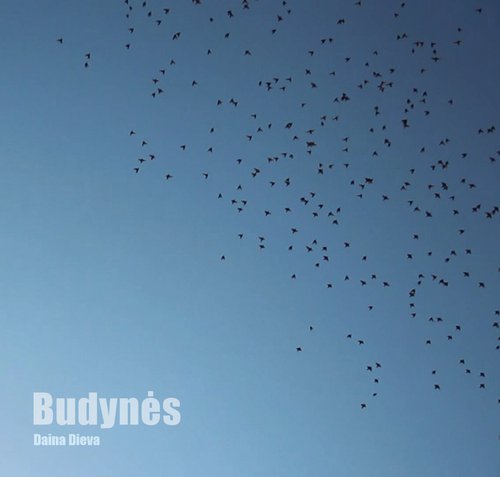 Budynes viršelis.jpg