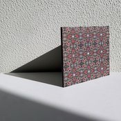 Zoom_In-12.jpg