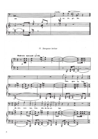 Žiemužė – balta eglužė