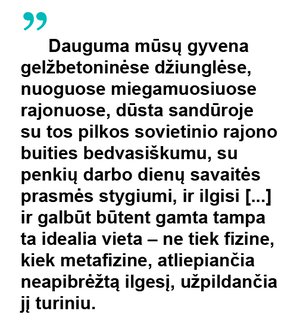 Citata-LT13.jpg
