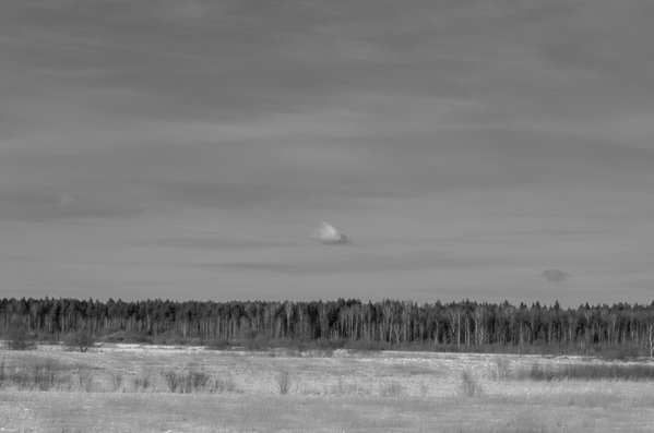 20130316-D7k-0149.jpg
